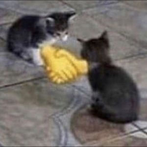 Meet your Posher, Jeri